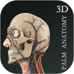 掌上3D解剖手机版 v2.5.2 安卓版