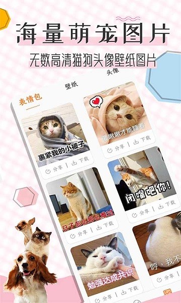 猫语翻译宝app