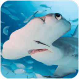 锤头鲨模拟器游戏(The Hammerhead Shark) v1.0.1 安卓版