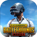 绝地求生pubg地铁逃生正版(PUBG MOBILE) v2.8.0 官方版