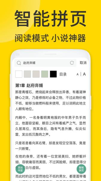 viax浏览器app手机版