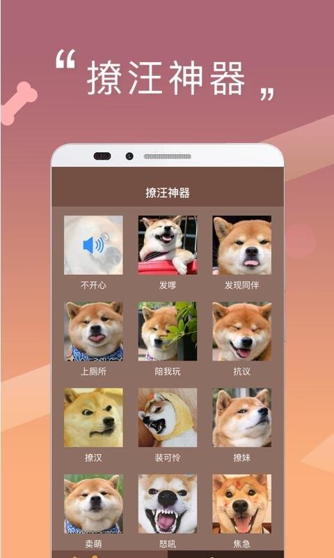 人狗交流器app