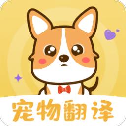 猫语翻译器正版(猫语交流)