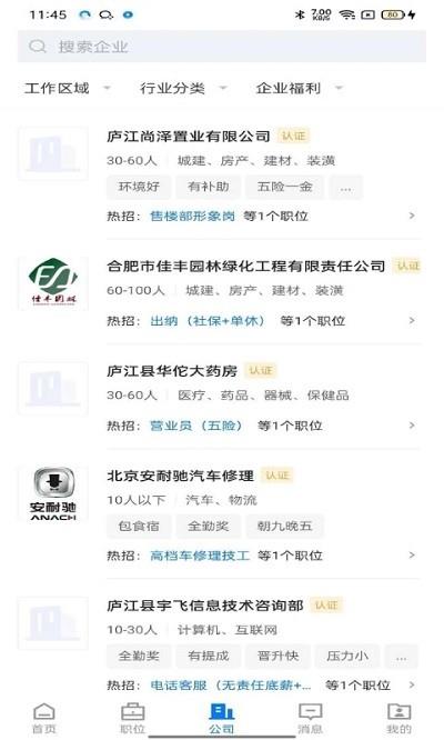 魅力庐江人才网app