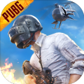 地铁逃生gm服内测服(PUBG MOBILE) v2.9.0 安卓版