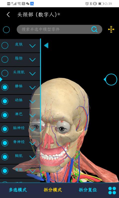 医维度解剖app(又名医维度人体解剖)