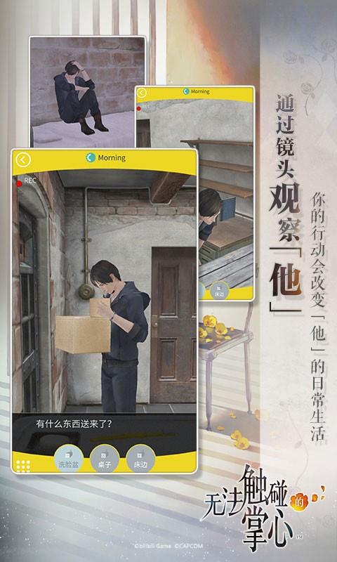 无法触碰的掌心汉化版