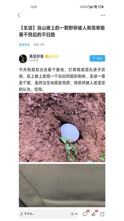 潼南论坛手机版