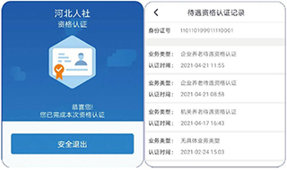 河北人社app养老认证 v9.2.30