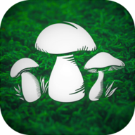 真实采蘑菇模拟器(Real Mushroom Hunting)