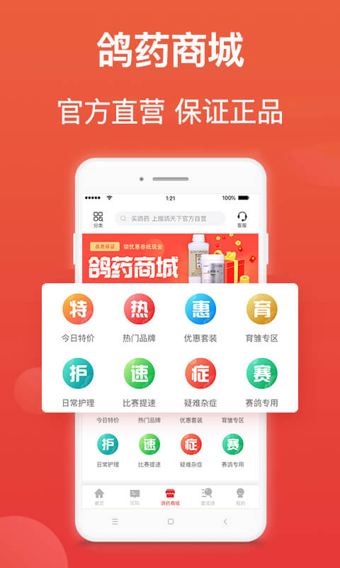 赛鸽头条app