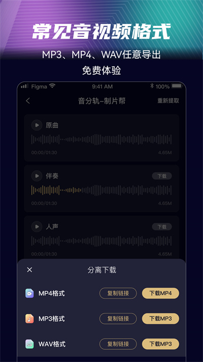 音分轨人声分离软件