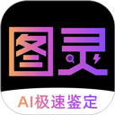 图灵鉴定v2.2.78