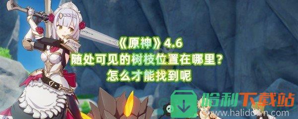 《原神》4.6随处可见的树枝位置在哪里？怎么才能找到呢