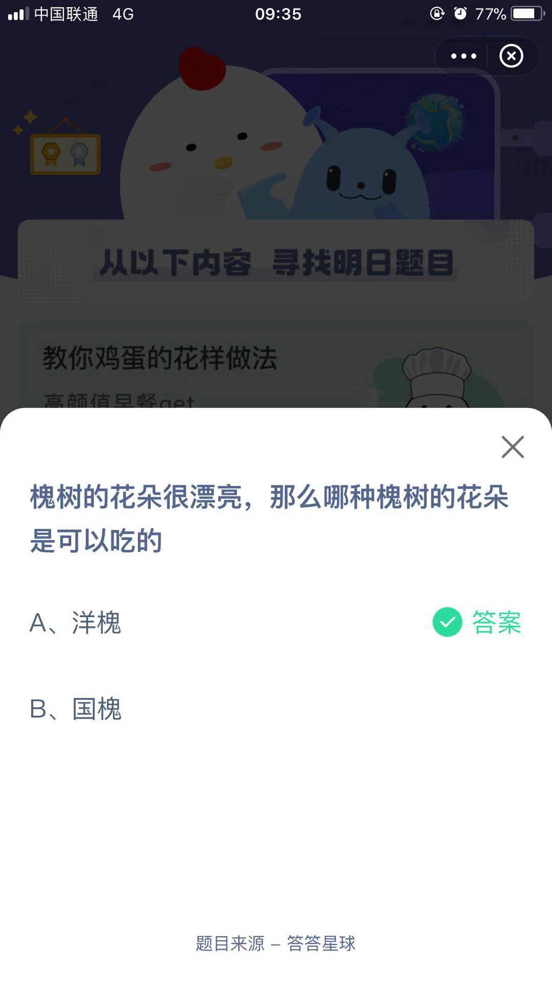 槐树的花朵很漂亮，那么哪种槐树的花朵是可以吃的