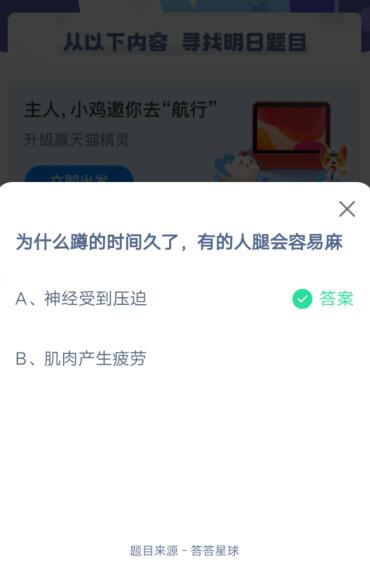 为什么蹲的时间久了有的人腿会容易麻