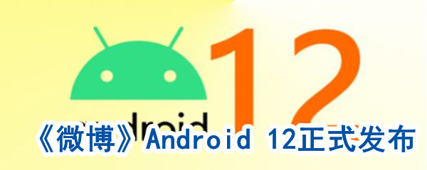 Android12发布时间安卓界面都有哪些裱花_android12全新功能做了什么变化[图文]