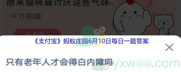 支付宝蚂蚁庄园只有老年人才会得白内障吗_2021支付宝蚂蚁庄园6月10日每日一题答案(2)[图文]