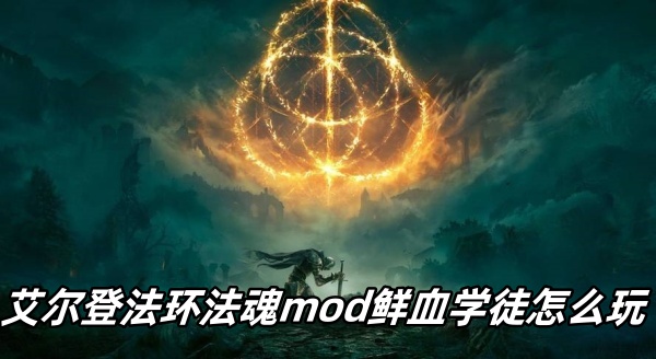 艾尔登法环法魂mod鲜血学徒怎么玩