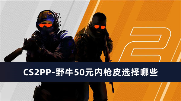 CS2PP-野牛50元内枪皮选择哪些