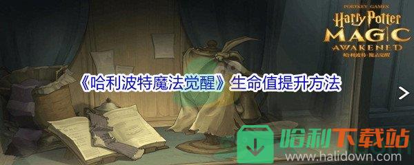 《哈利波特魔法觉醒》生命值提升方法