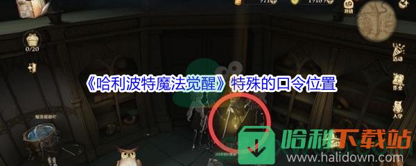 《哈利波特魔法觉醒》特殊的口令位置介绍