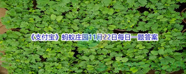 2021《支付宝》蚂蚁庄园11月22日每日一题答案