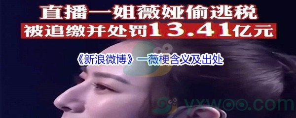 新浪微博一薇梗是什么意思呢_一薇是什么梗[图文]