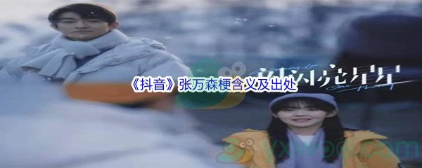 抖音张万森是什么梗呢_抖音张万森梗含义及出处[图文]