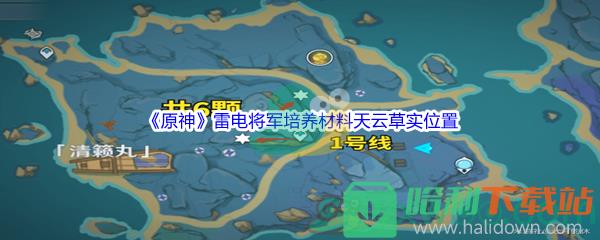 《原神》雷电将军培养材料天云草实采集位置