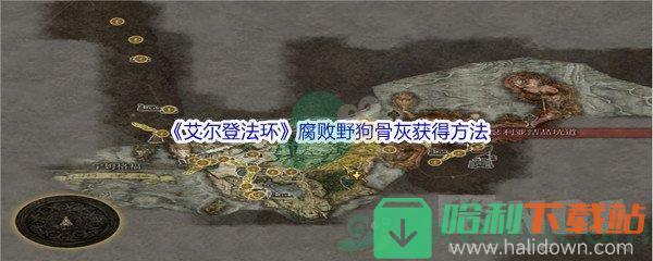 《艾尔登法环》腐败野狗骨灰获得方法