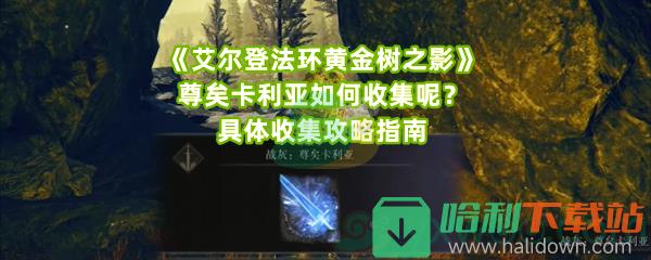 《艾尔登法环黄金树之影》尊矣卡利亚如何收集呢？具体收集攻略指南