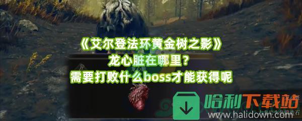 《艾尔登法环黄金树之影》龙心脏在哪里？需要打败什么boss才能获得呢