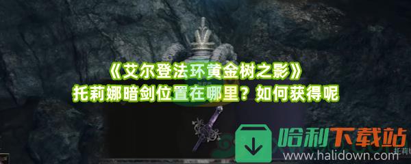 《艾尔登法环黄金树之影》托莉娜暗剑位置在哪里？如何获得呢