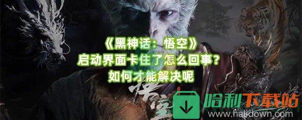 《黑神话：悟空》启动界面卡住了怎么回事？如何才能解决呢