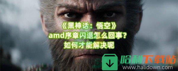 《黑神话：悟空》amd序章闪退怎么回事？如何才能解决呢