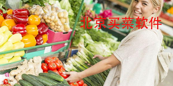 北京买菜app推荐